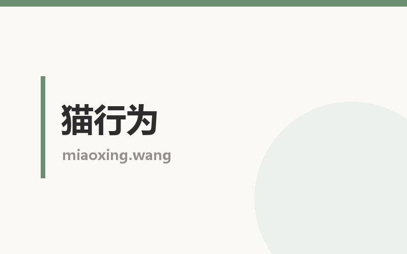 猫行为栏目配图