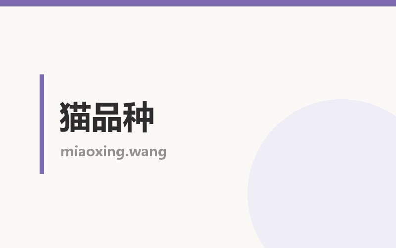 猫品种栏目配图