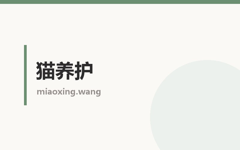 猫养护栏目配图