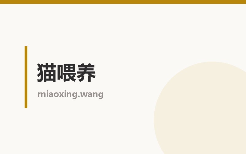 猫喂养栏目配图