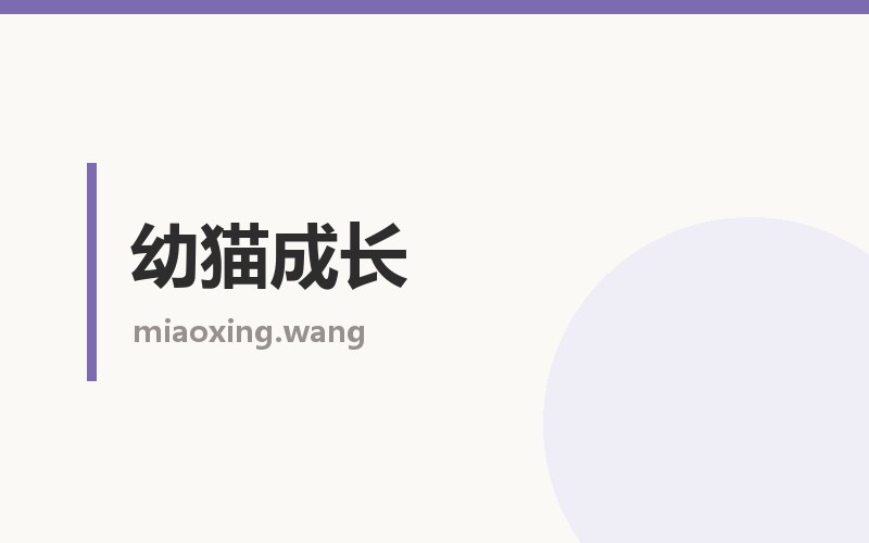 幼猫成长栏目配图