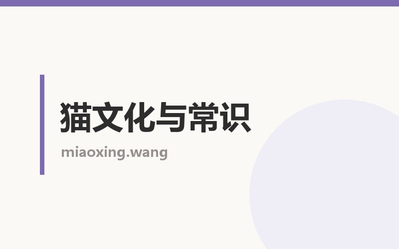 猫文化与常识栏目配图