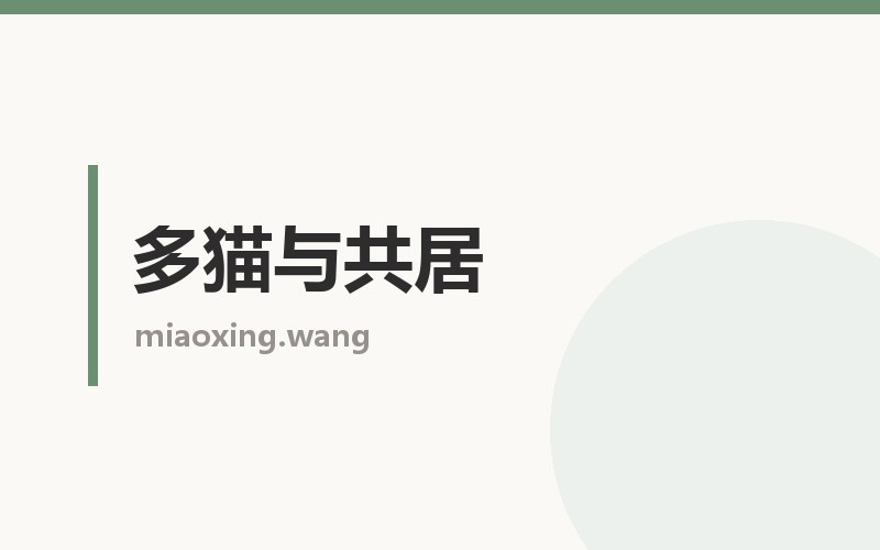 多猫与共居栏目配图