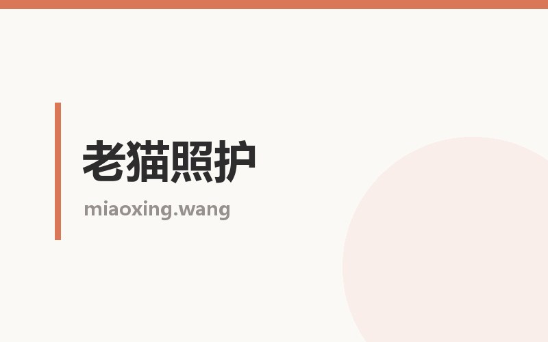 老猫照护栏目配图